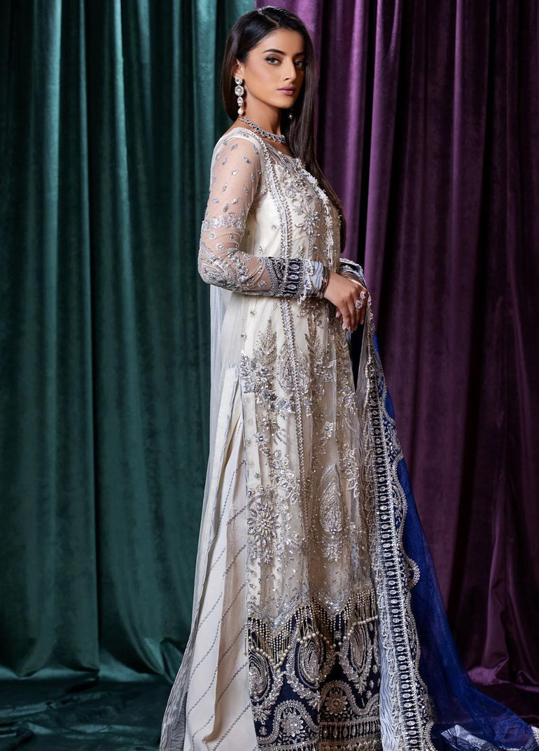 Maryam and Maria Embroidered Net Dress with handwork