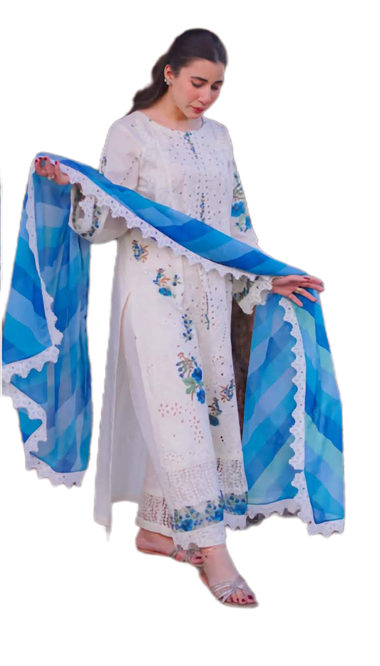 3-Pc Unstitched Chikankari Dress Set – Heavy Schifli Embroidery, Cutwork Laces, Printed Chiffon Dupatta | Summer Brunch & Office Wear