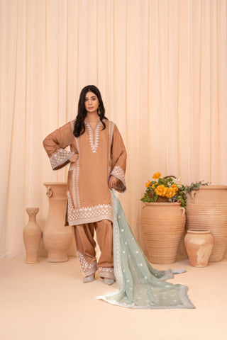 A woman models a traditional three-piece salwar kameez suit in a warm beige/tan color with intricate white embroidery on the sleeves, hem, and pants, paired with a light sage green dupatta. She is standing in a studio setting with decorative terracotta pots and a beige curtain backdrop.