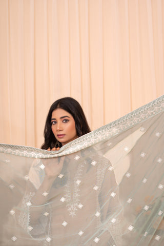 A woman holds up a sheer light gray organza dupatta with white embroidered motifs and a silver border, set against a soft beige pleated backdrop.
